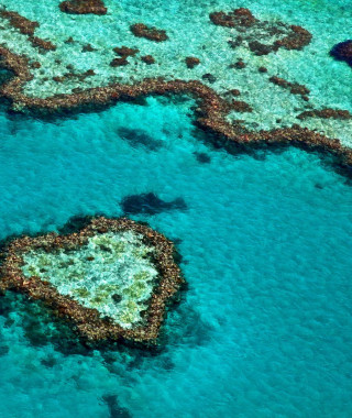 Reisebild - Australien Reise - Great Barrier Reef