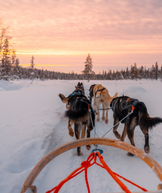 Reisebild - Lappland