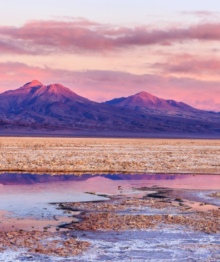 Reisebild - Chile Reise: Salar de Atacama