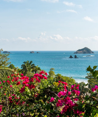 Reisebild - Costa Rica Reise: Manuel Antonio