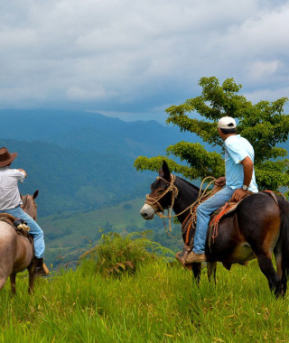 Reisebild - Costa Rica Entdecker-Rundreise