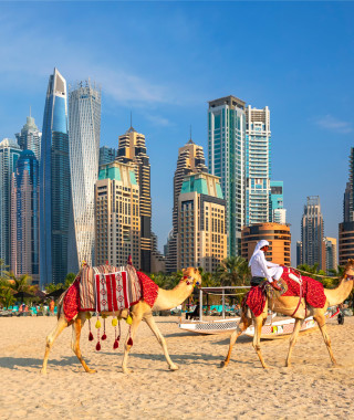 Reisebild - Vereinigte Arabische Emirate Reise - Skyline Dubai