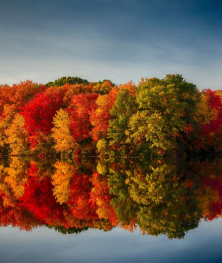 Reisebild - Herbstblüte Neuengland