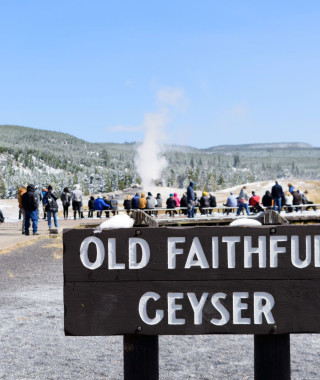 Reisebild - USA Reise:  Yellowstone