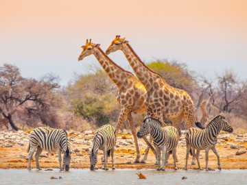 Namibia - Rundreise mit Kapstadt