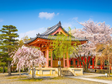 Japan Reise: Sanjusangendo Temple Shrine