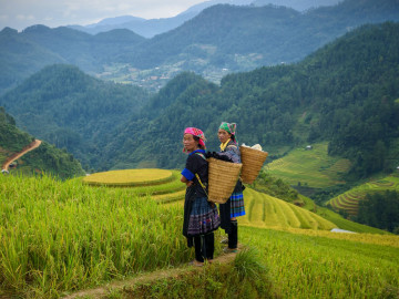 Vietnam Reise: Leute & Kultur