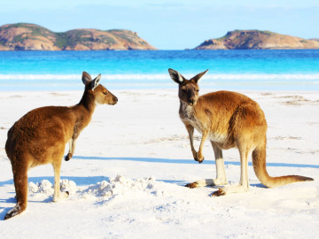 australien reise strand 