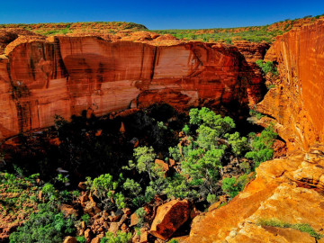 Australien Reise - Kings Canyon Nationalpark