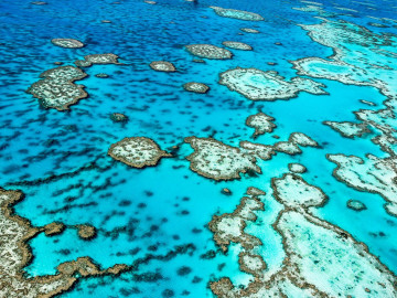 Australien Reise Rundreise Great Barrier Reef