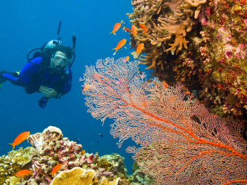 Australien Reise Rundreise Great Barrier Reef