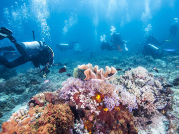 Australien Reise - Great Barrier Reef