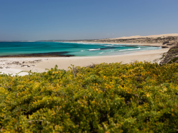 Australien Reise - Nullarbor-Ebene