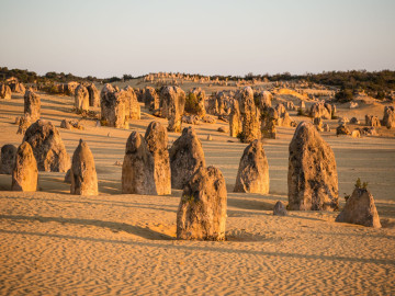 Australien Neuseeland Reise - Nambung Nationalpark/Pinnacles