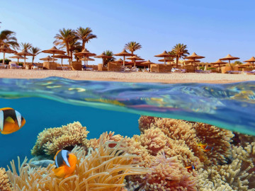 Ägypten Reise - Rotes Meer