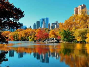 Steubenparade New York Reise 2019