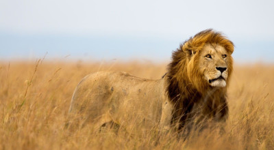 Afrika Reisebild