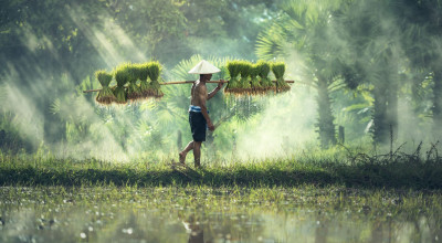 Asien Reisebild