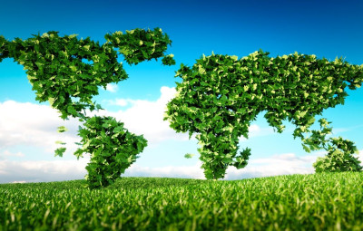 Nachhaltiges Reisen Nachrichtenbild: Nachhaltiges Reisen