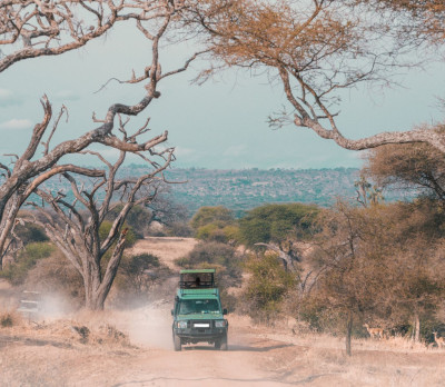 Foto 4 Safari-Fahrzeug
