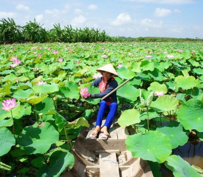 Reise Vietnam: Mekongdelta Foto 3 Reise Vietnam: Mekongdelta