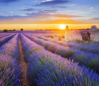 Foto 1 provence