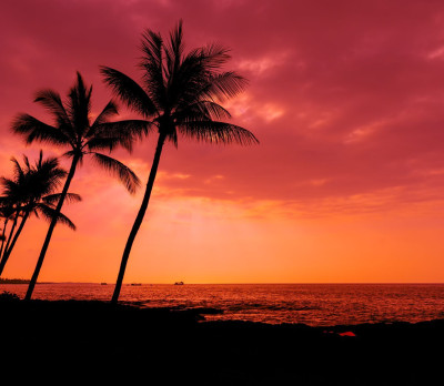 Reise USA Hawaii Foto 1 Reise USA Hawaii