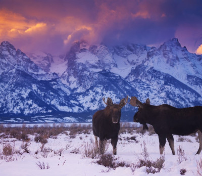 USA Reise: Grand Teton NP Foto 3 USA Reise: Grand Teton NP