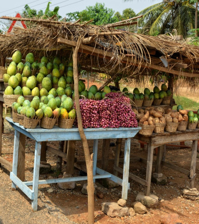 Foto 4 für Authentisches Ghana