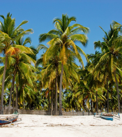 Foto 1 Mozambique Strand