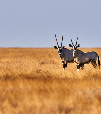 Foto 4 Reise Namibia 