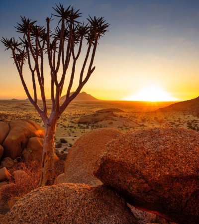 Foto 4 Namibia Rundreise Wüste