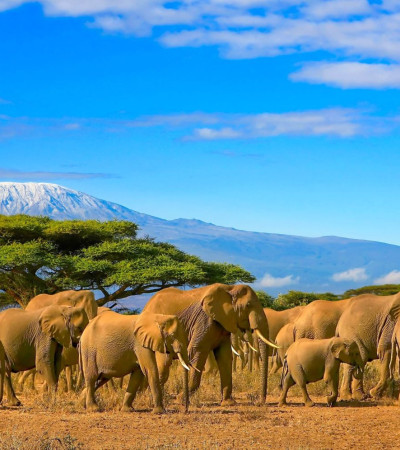 Tansania Reise Foto 4 Tansania Reise