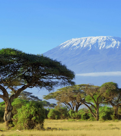 Tansania Reise - Kilimanjaro Foto 1 Tansania Reise - Kilimanjaro