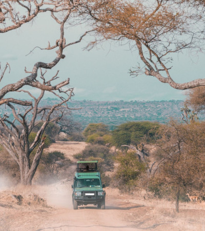 Foto 4 Safari-Fahrzeug