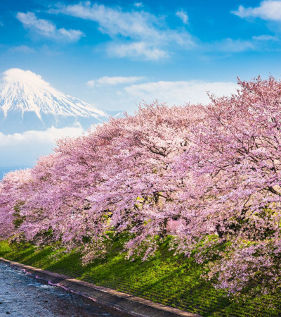 Foto 4 Fuji