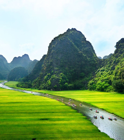 Vietnam Reise: Bauer und Büffel Foto 1 Vietnam Reise: Bauer und Büffel
