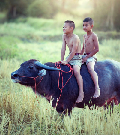 Vietnam Reise: Kinder Foto 4 Vietnam Reise: Kinder