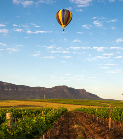 Foto 3 Australien Reise - Hunter Valley