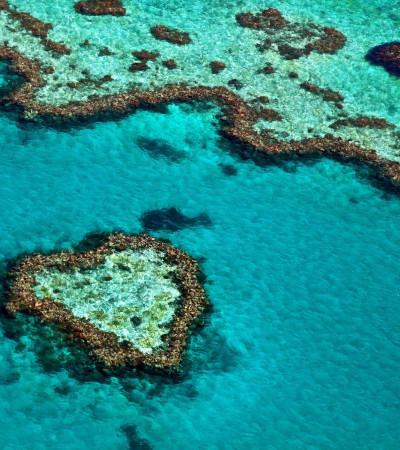 Foto 1 Australien Reise - Great Barrier Reef
