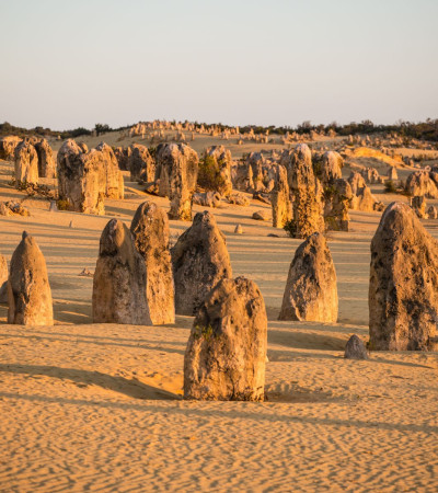 Foto 2 Australien Reise - Nambung Nationalpark/Pinnacles