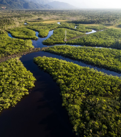 Foto 4 Peru Reise Anden und Amazonas 