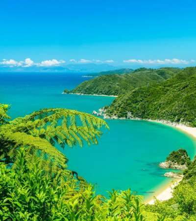 Foto 4 Neuseeland Reise - Abel Tasman Nationalpark