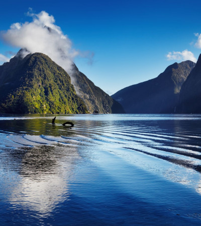 Foto 3 Neuseeland Reise - Fiordland Nationalpark