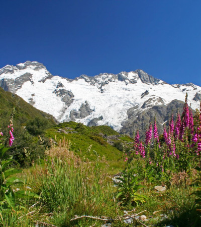 Neuseeland Reise - Mount Cook Foto 1 Neuseeland Reise - Mount Cook