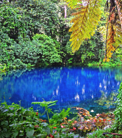 Foto 4 Südsee Reise - Blue Hole auf Espiritu Santo