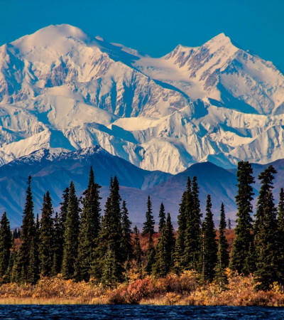 Foto 4 Alaska reise: Denali NP