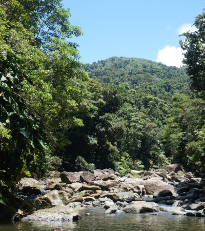 Foto 2 Puerto Rico Reise - El Yunque National Forest