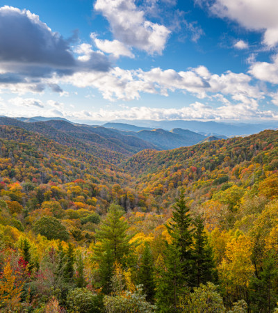 Foto 4 Smoky Mountains NP