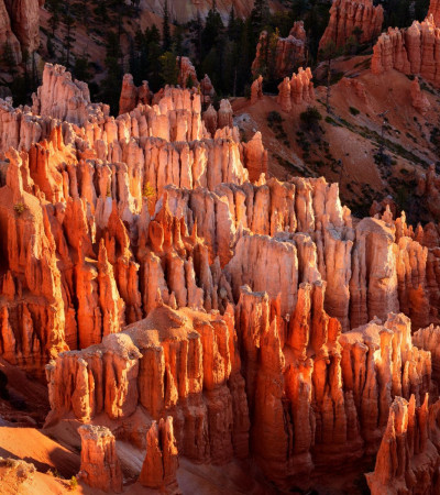 Foto 3 USA Reise: Bryce Canyon